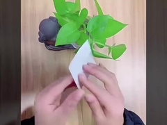 semi-transparent elastic film dressing